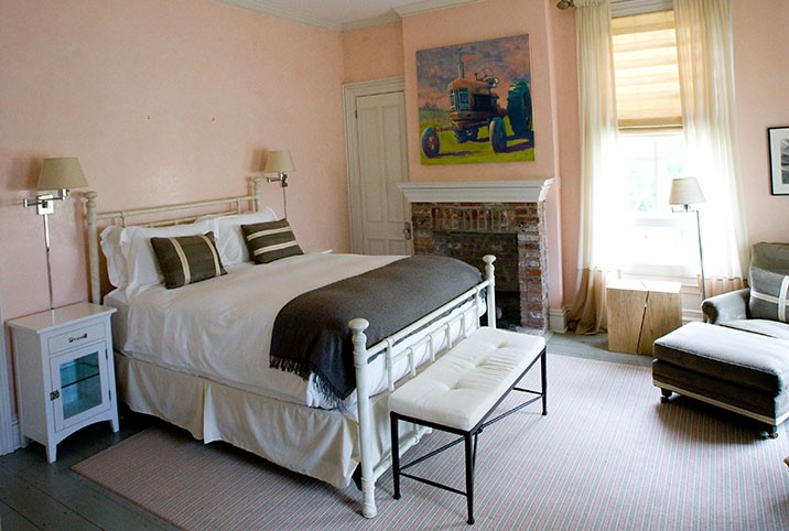 Rose, farm views, fireplace, queen bed